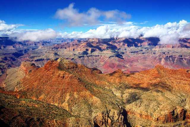 couleurs du printemps au grand canyon