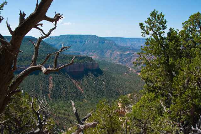 grand canyon depuis rim trail