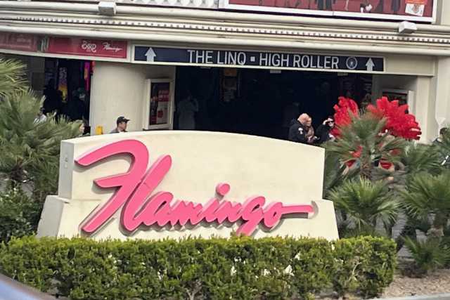 Flamingo Hotel Las Vegas