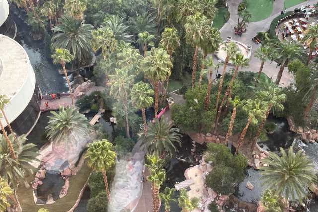 Flamingo Wildlife Habitat Las Vegas