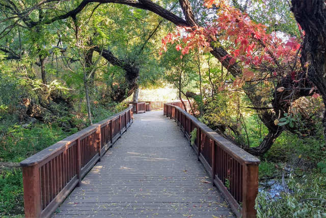 Rancho San Rafael Regional Park